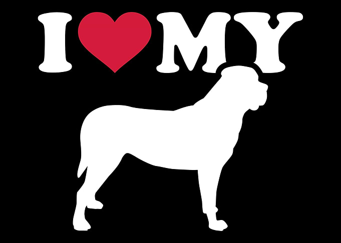 Mastiff