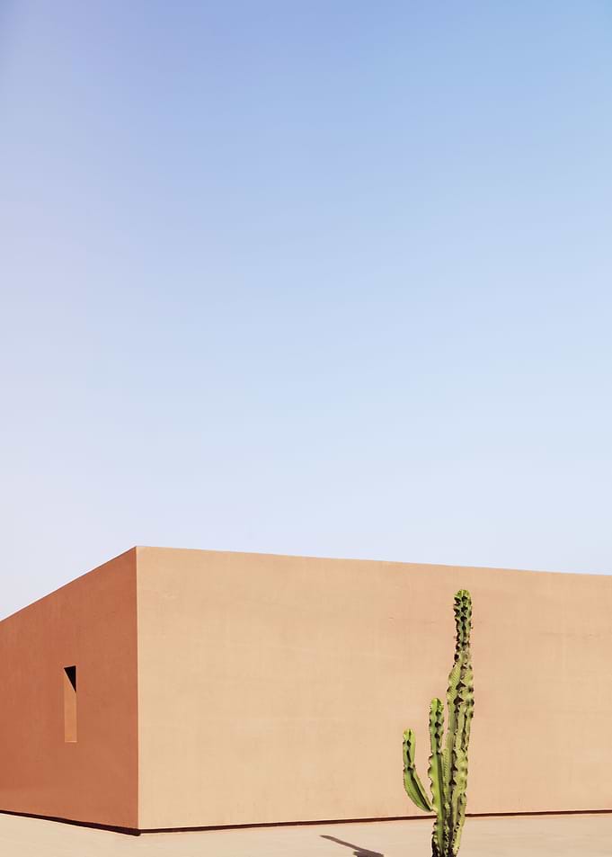 Cactus House
