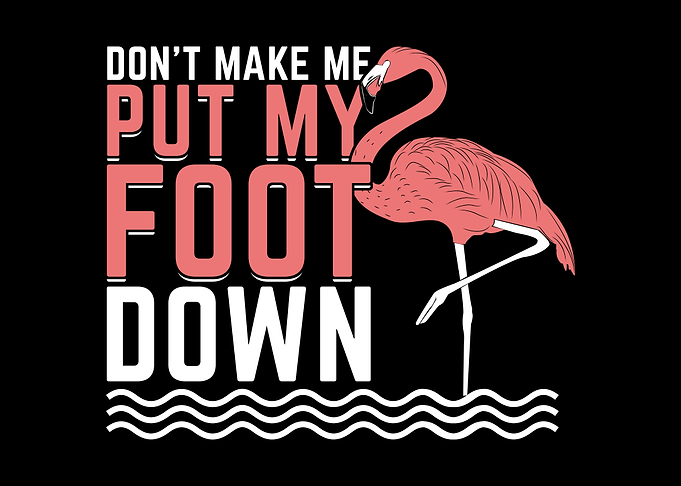 Funny Flamingo Design