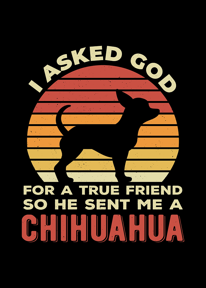 Chihuahua Funny