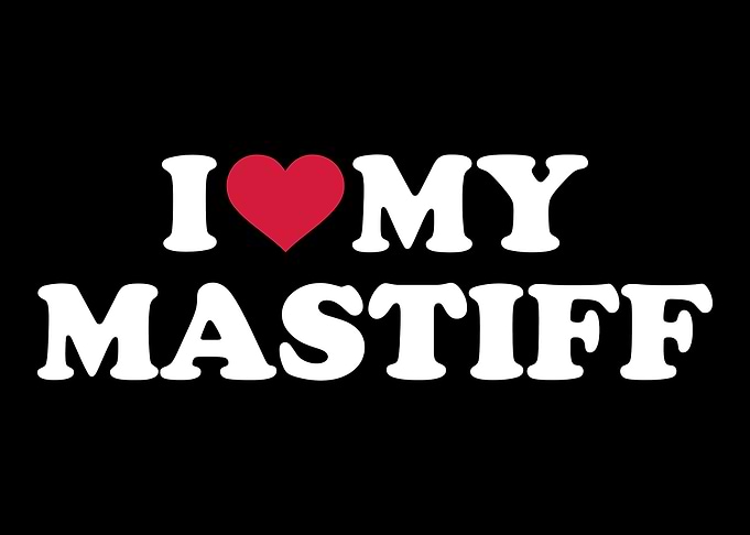 Mastiff