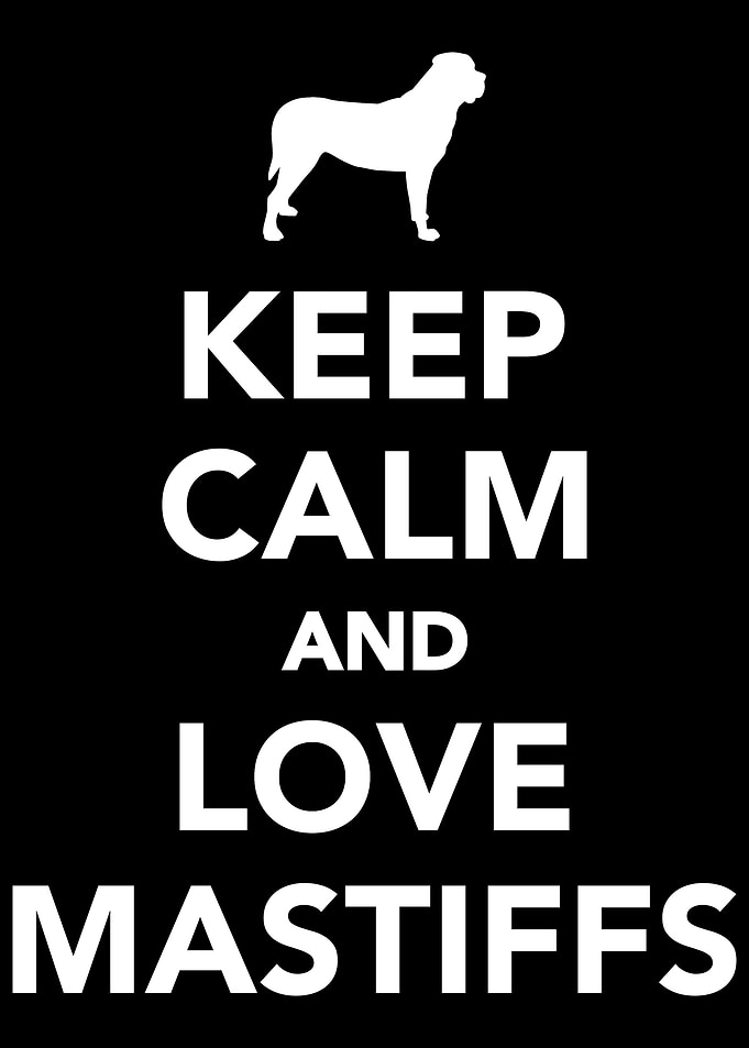 Mastiff