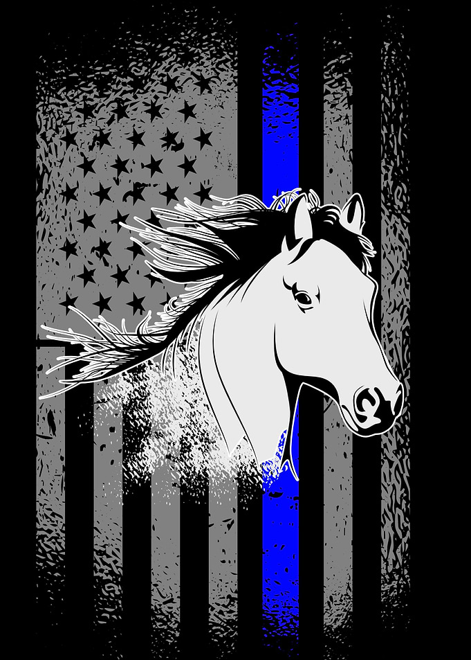 Police Horse American Flag