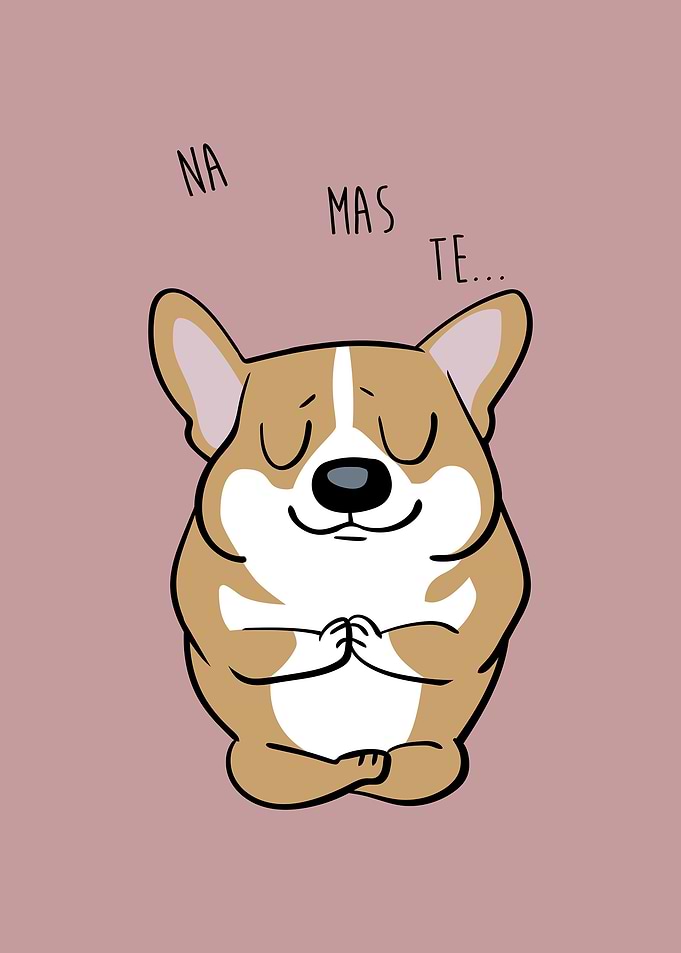 NAMASTE Corgi