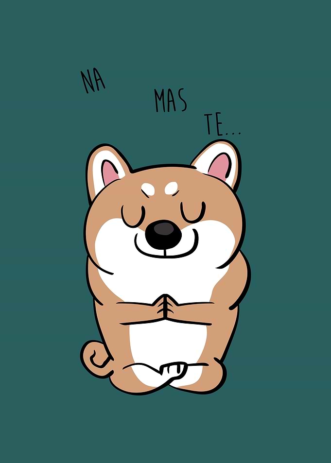 NAMASTE Shiba Inu