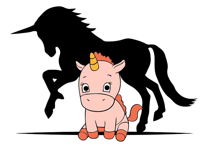 Unicorn Shadow Animal
