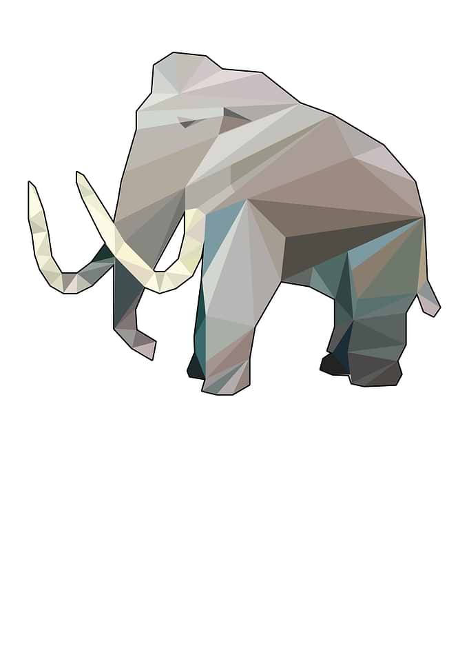 Woolly Elephant