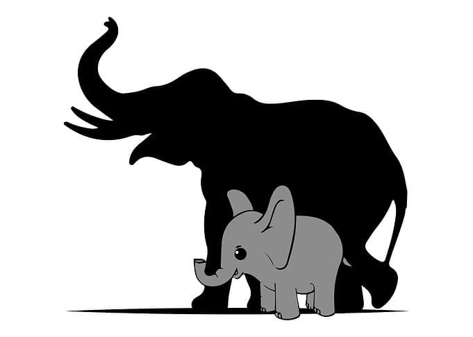 Cute Elephant Shadow
