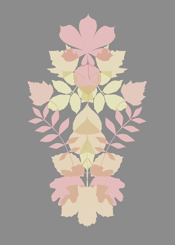 Autumn leaves mirrored