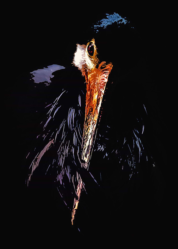 Animal 3