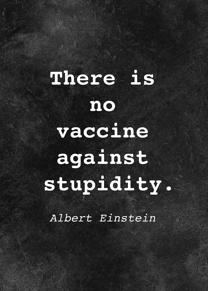 Albert Einstein Quote D031