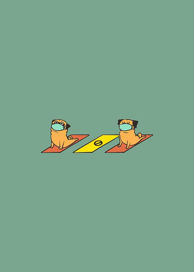 Social Distancing Pug