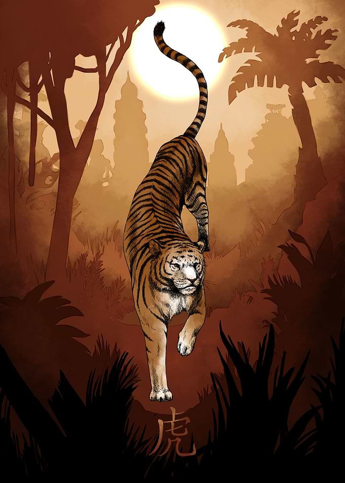 Chinese Zodiac The Tiger