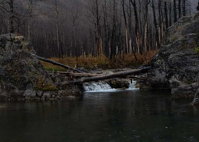 Fall colors 2
