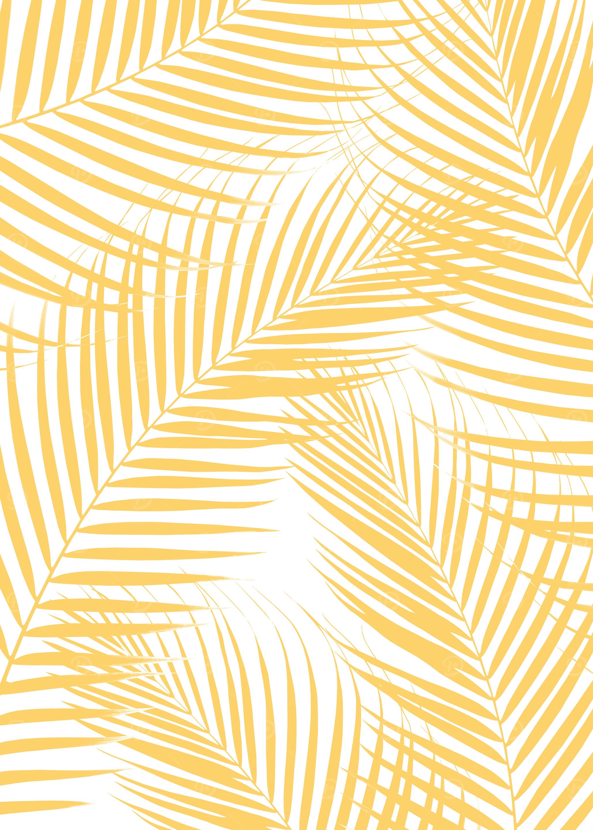 Palm Leaves Yellow Cali 1