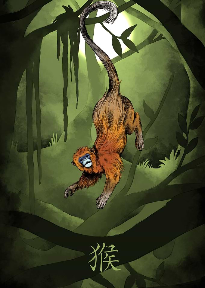 Chinese Zodiac The Monkey