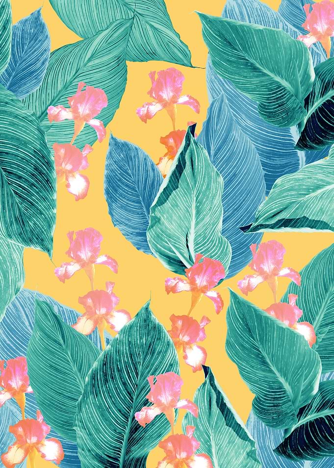 Iris Jungle Dream 1