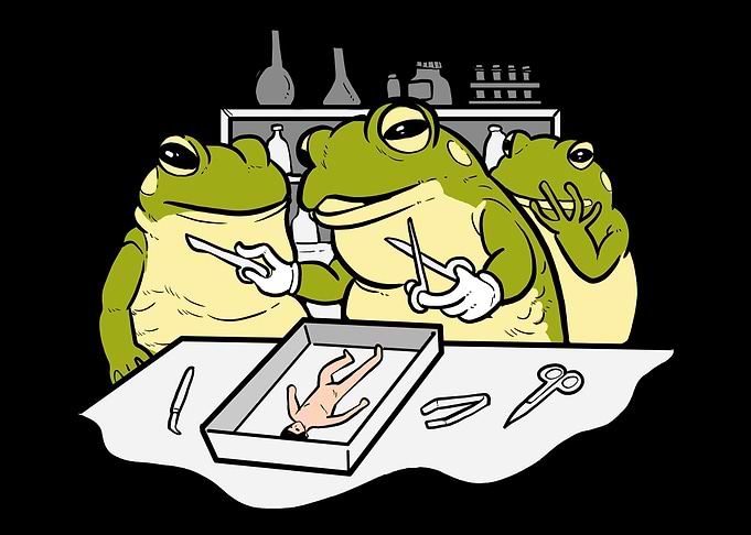 Frog Disection Scientist G