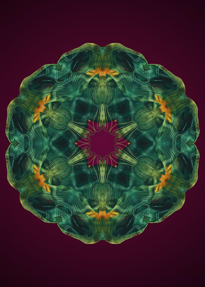Mandala 6