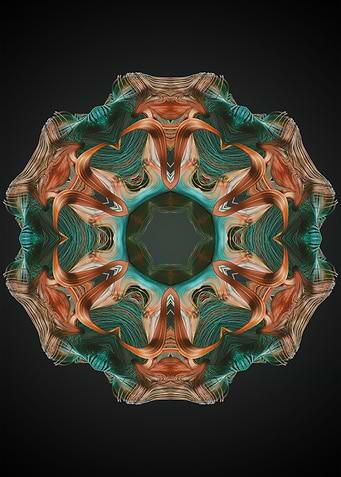 Mandala 5