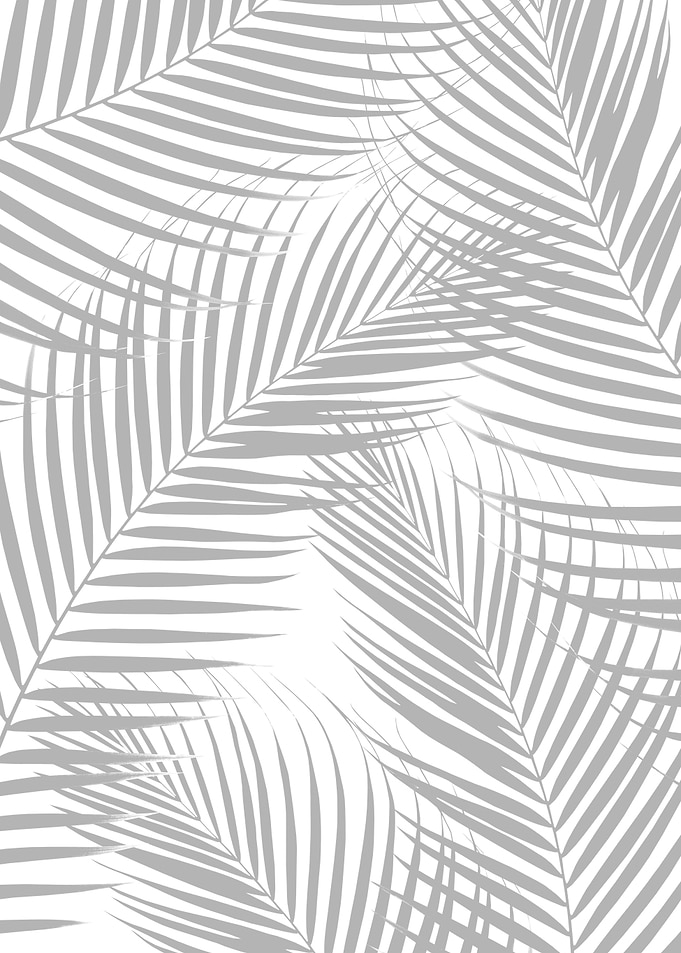 Palm Leaves Gray Cali 1