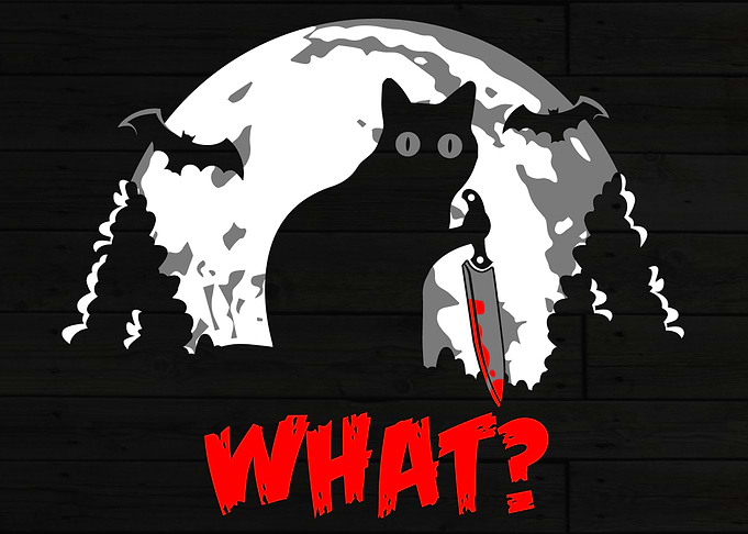cat black cute animal cats