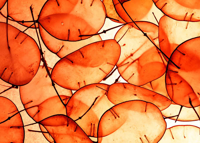 Abstract Art Paintings