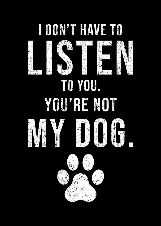 Dog Saying Funny You Are