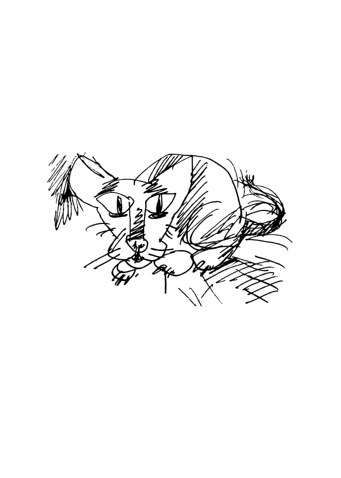 Funny Hunter Cat