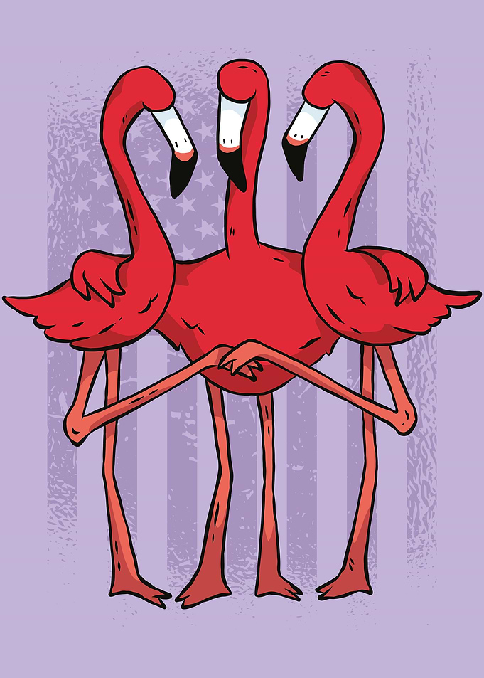 AMERICAN FLAMINGOS