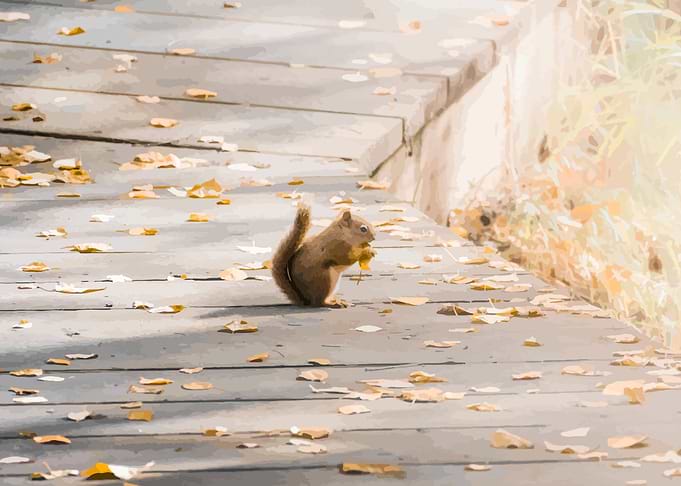 Embracing Autumn