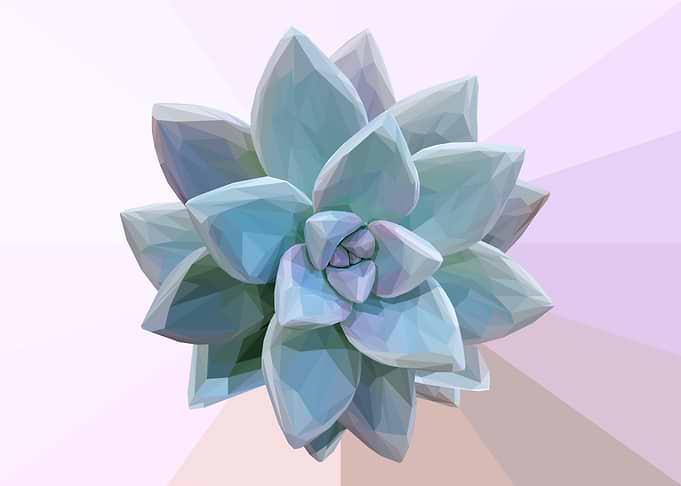 Low Poly Teal Succulent