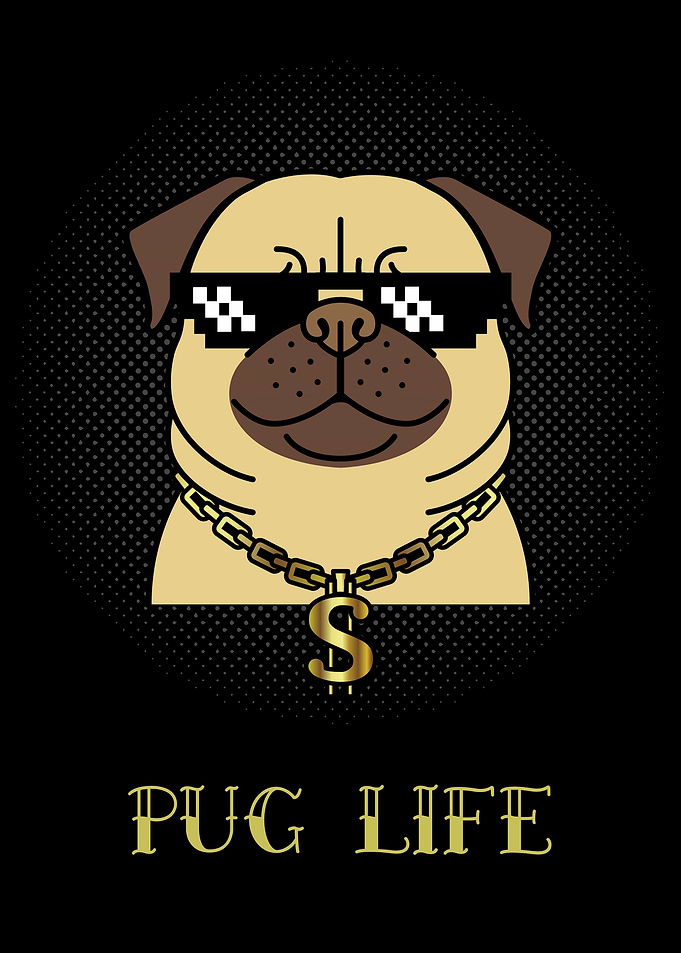 Funny Puggy Pug Dog