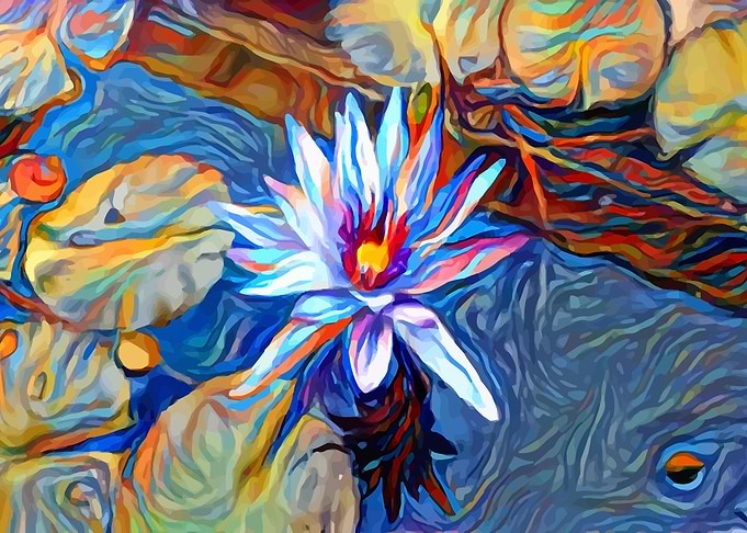 Lotus Flower Colorful