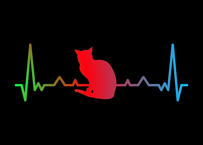 Cat Silhouette Design