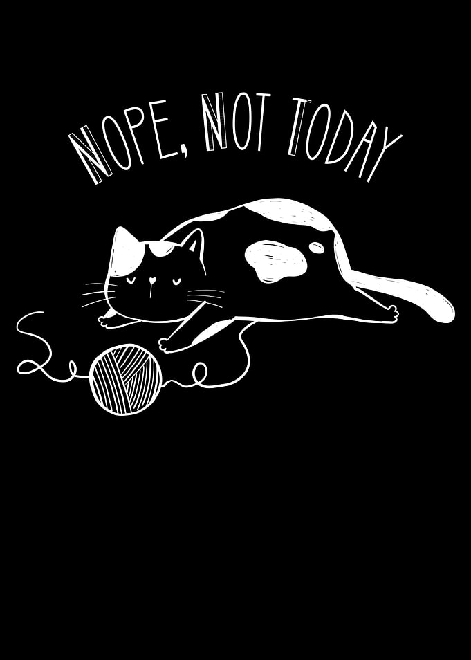 Lazy Cat Funny Cats