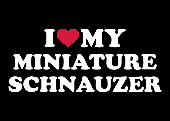 Miniature Schnauzer