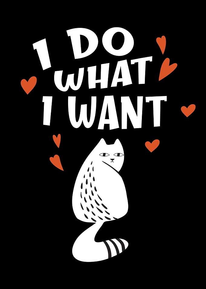 Funny Cat I Do What I Want