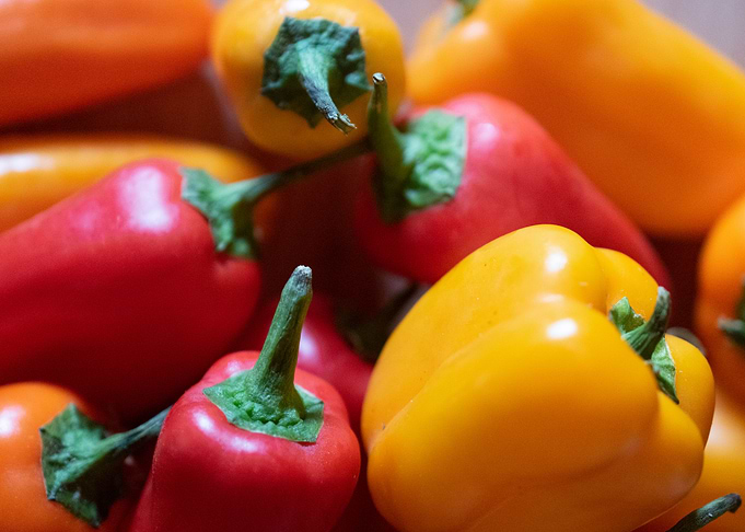 Bell pepper
