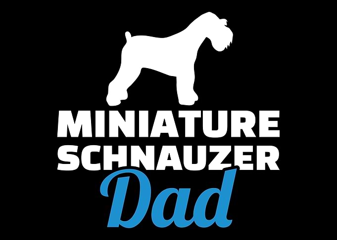 Miniature Schnauzer