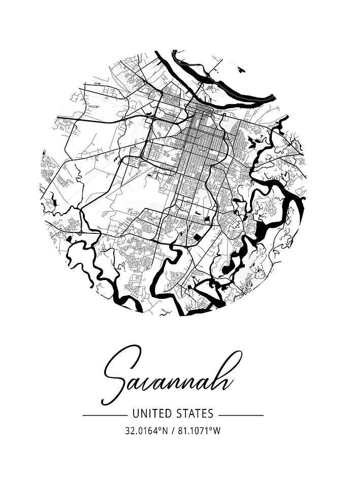 Savannah Area City Map