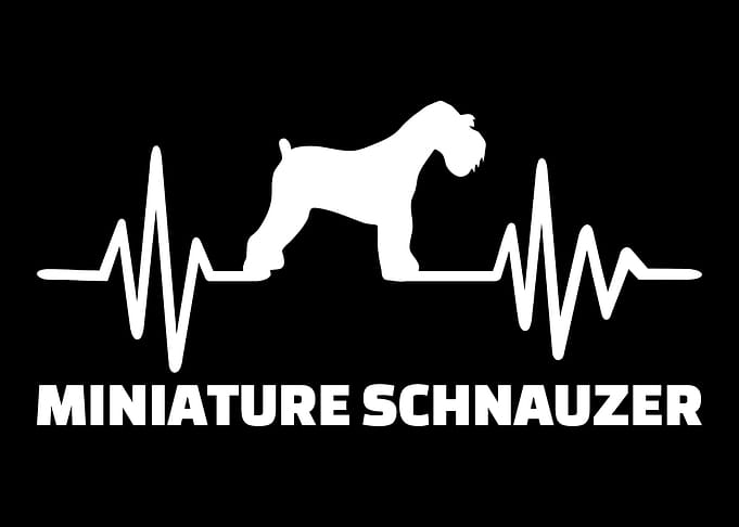 Miniature Schnauzer
