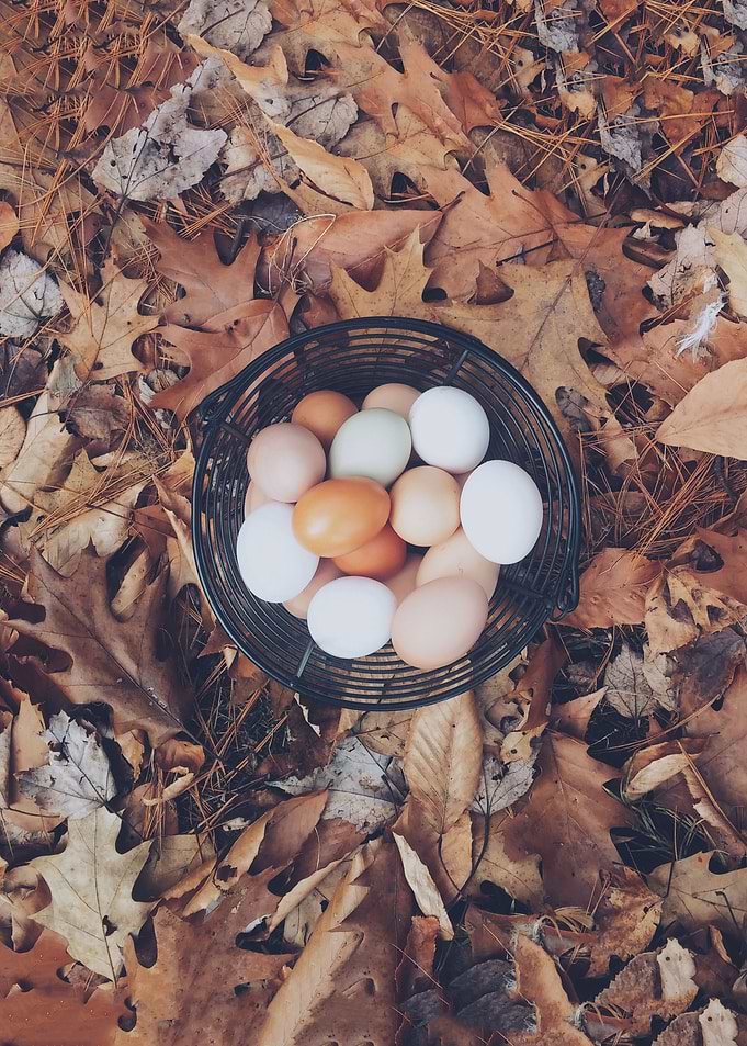 Basket Eggs