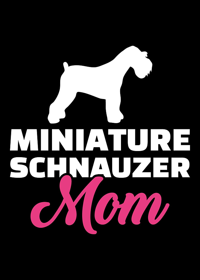 Miniature Schnauzer