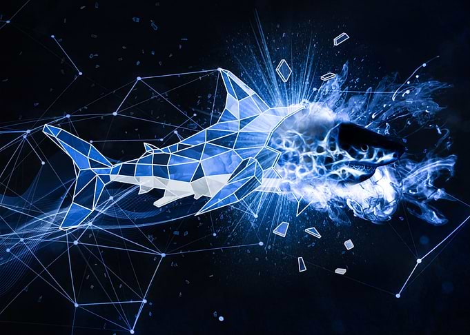 Shark