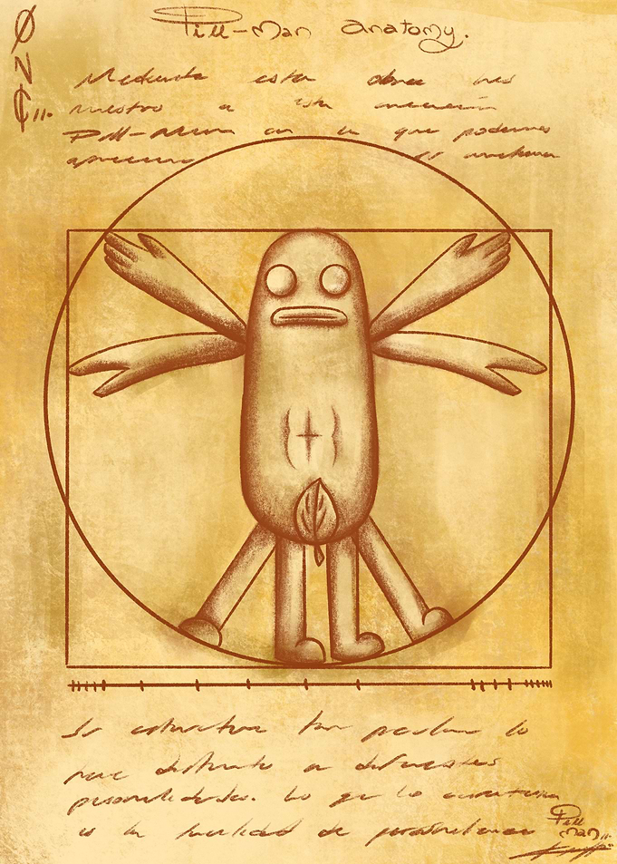 ANATOMY
