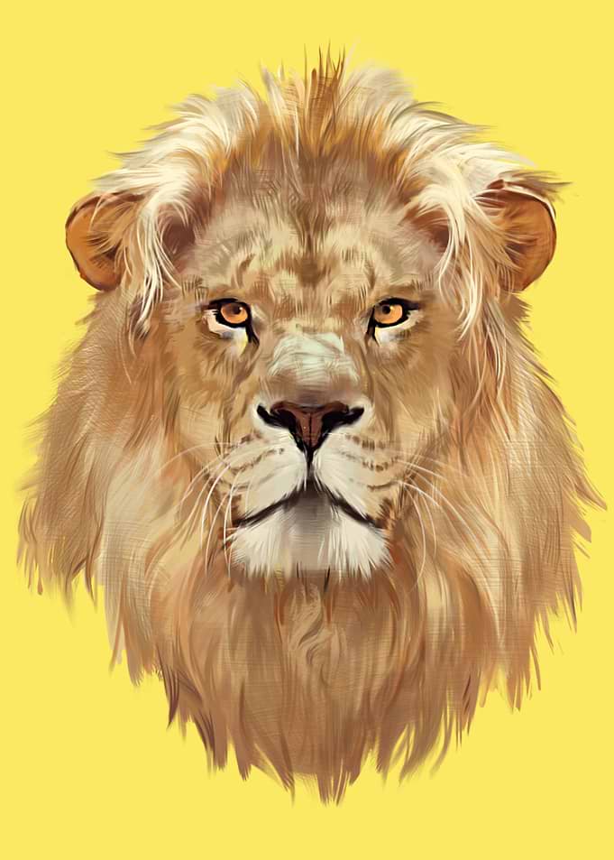 Lion Animal painted