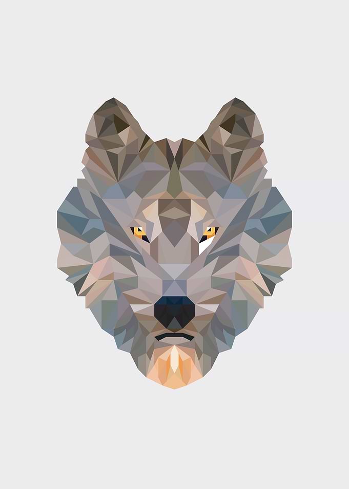 Bear Face