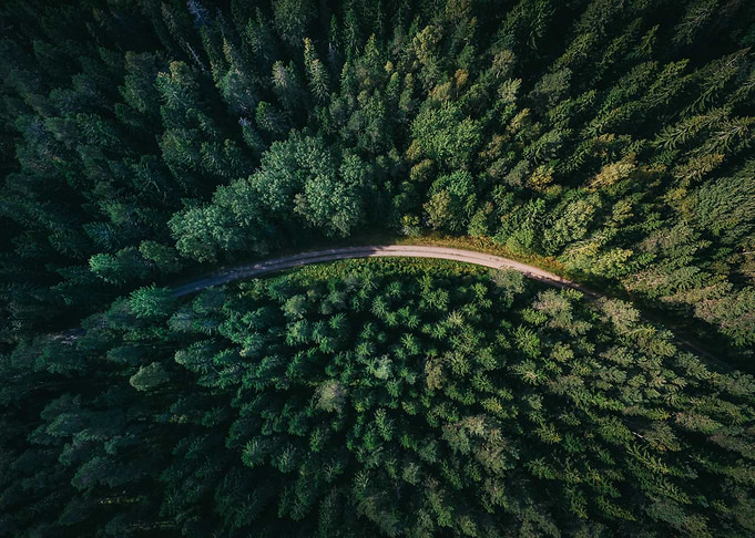 Road Through