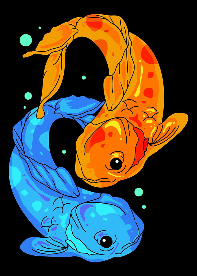 Colorful Koi Fish